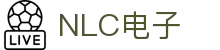 NLC电子数码集团